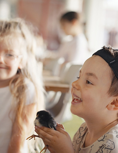 cariculumcarousel-three